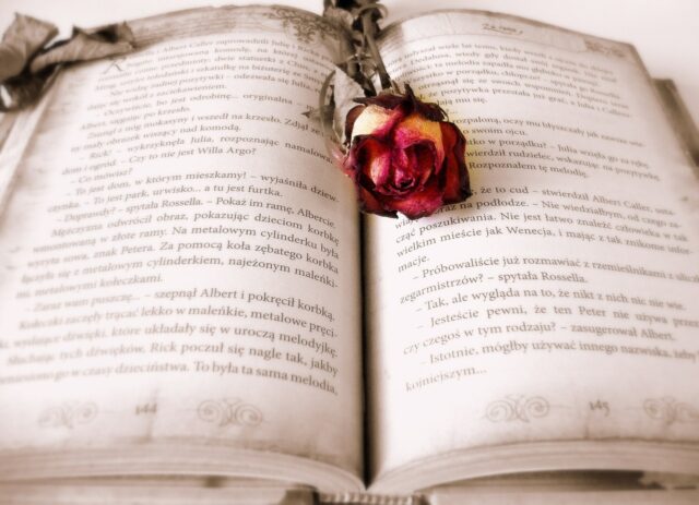 book, rose, book mark-419589.jpg
